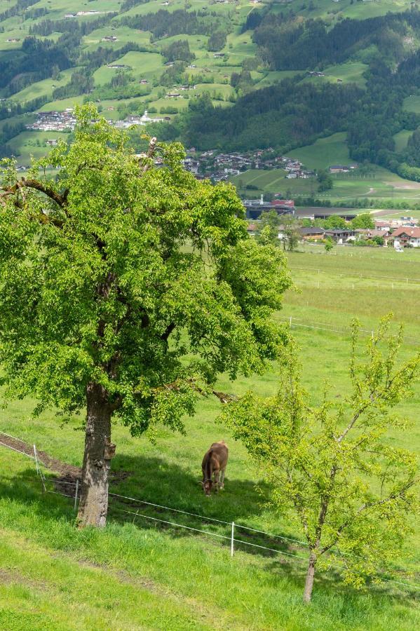 푸겐 Riemenerhof 빌라 외부 사진